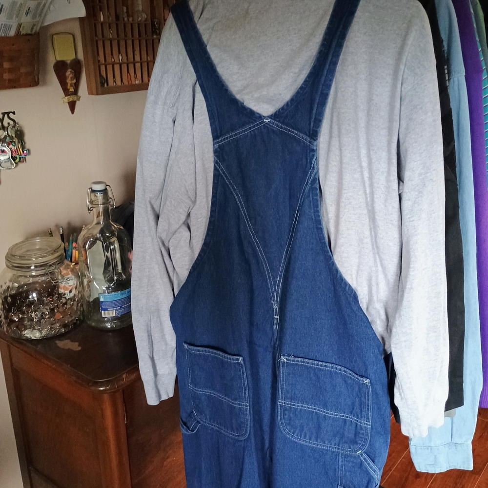 Carhartt Denim Overalls and Gray Long Sleeve T-Shirt Set - Picture 4 of 12